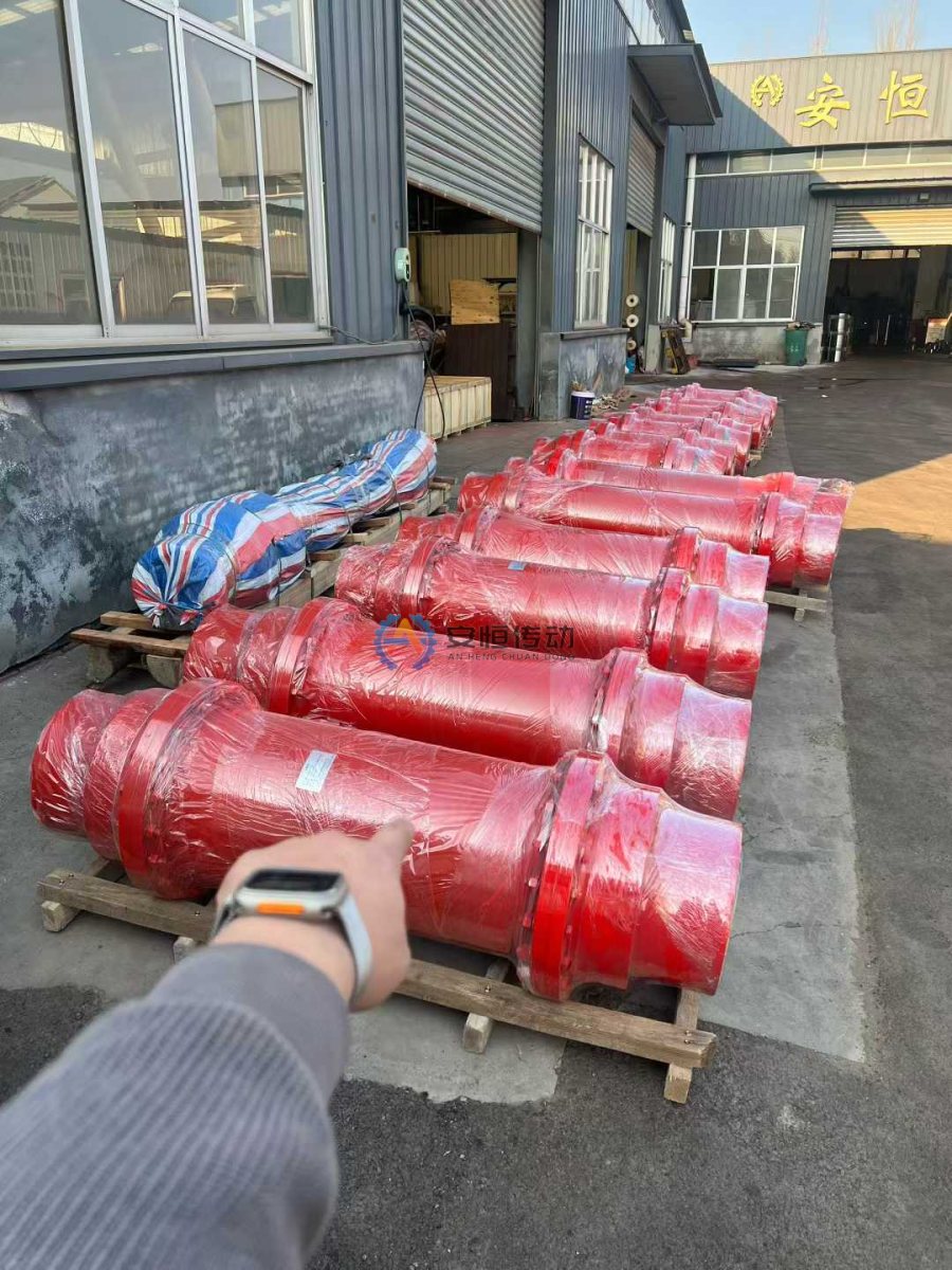 balligverzahnte Kupplung für Brückenkran-Hubwerk im Stahlwerk