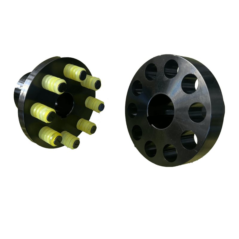 Pin bush coupling with pins and elastic bushes
